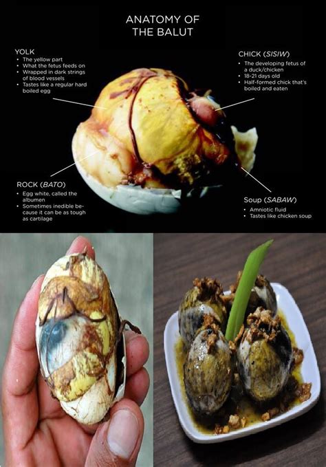 balot or balut|How to Eat Balut: 10 Steps (with Pictures) .